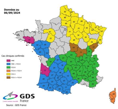 FCO / MHE Actualités