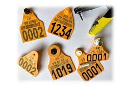 Panne Notification Identification des bovins